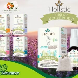 Aromaterapia holistic