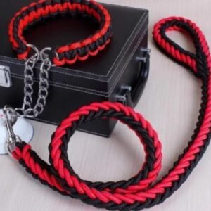 Juego de collar y correa doble hebra