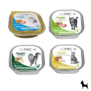 Latas nupec gato