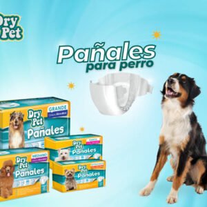 Pañal para perro xch
