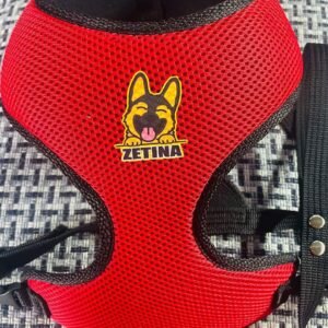 Pechera Zetina chica