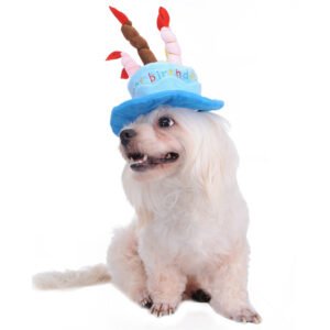 Sombrero de cumpleaños