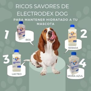 Suero Electrodex dog