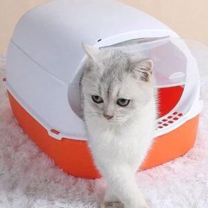 Arenero cerrado con pal