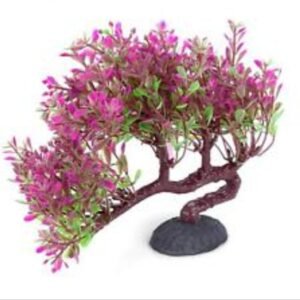 Bonsai para acuario