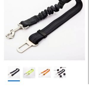 Cinturón de seguridad y arnés