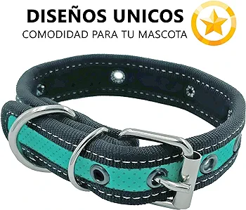 Collar nylon color neon gd