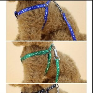 Correa con pechera de listón gd