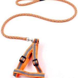 Correa con pechera parapet