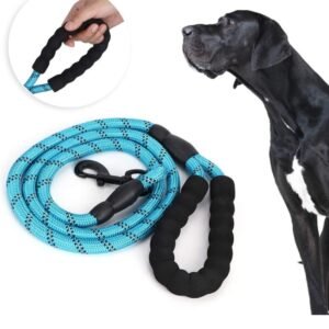 Correa de 100 hilos con agarradera acolchonada