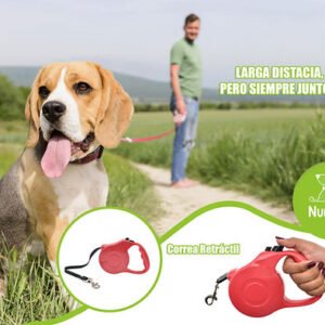 Correa retráctil 3 metros