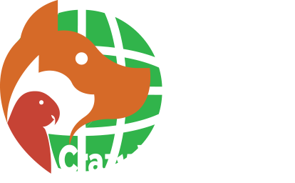 shop.crazywpets.com