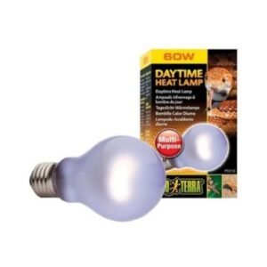 Foco para Iguana día 60w