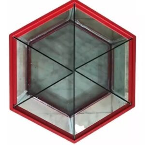 Pecera con divisiones