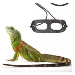 Pechera para iguana gd