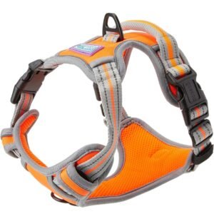 Pechera senior pet dog gd