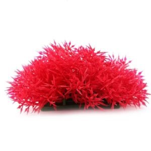 Plantas para acuario