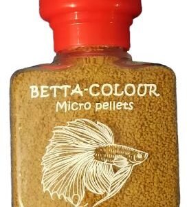 BETA COLORS CUADRO