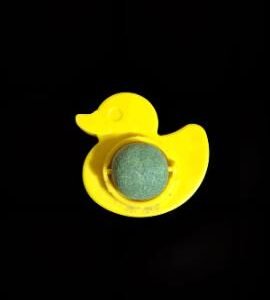 CAT NIP PATO