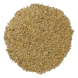 ALPISTE SIMPLE 1 KG