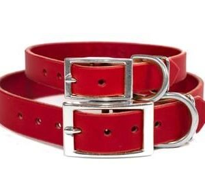 Collar rojo grande