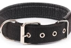 COLLAR PARA GATO REFORZADO