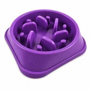 PLATO COMEDERO LENTO MORADO
