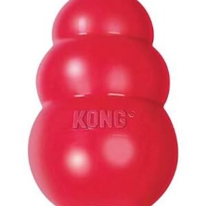 Juguete tipo Kong