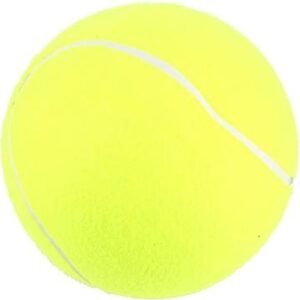 PELOTA DE TENIS MD PZ