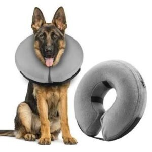 COLLAR ISABELINO DONA T-7