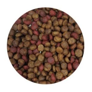 KG NOBLE ADULTO RAZA PEQUEÑA