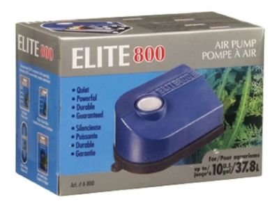 BOMBA ELITE 800 10 GAL (37.8 L)