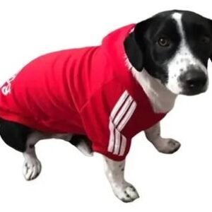 PLAYERA DEPORTIVA C/CAPUCHA XCH