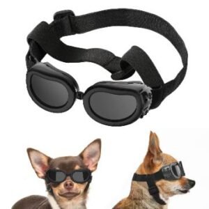 LENTES P/PERRO M