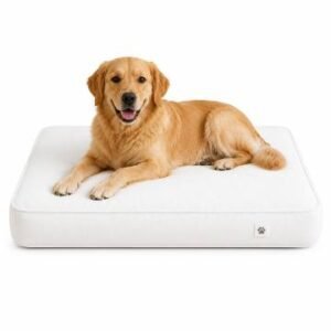 COLCHON M 65x50