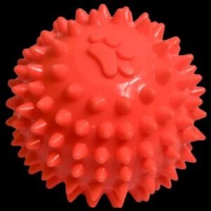 JUGUETE PELOTA DE CAUCHO SPINY