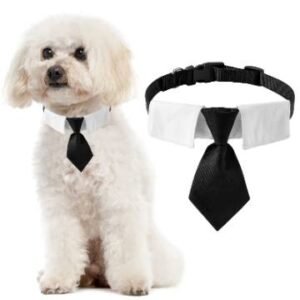 COLLAR CON CORBOTA