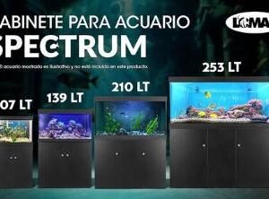 GABINETE SPECTRUM NEGRO 107 LT