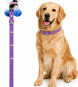 COLLAR DE GOMA MORADO