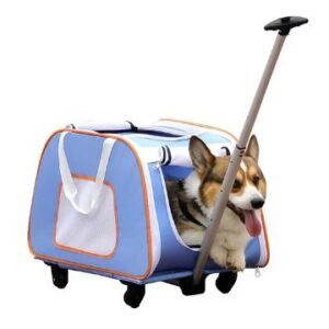 TRANSPORTADORA TIPO CARRO 5 LLANTAS