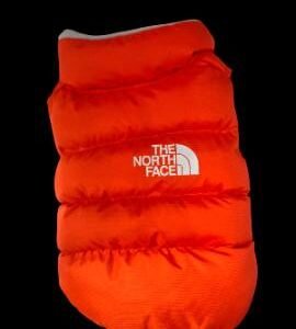 CHALECO THE NORTH FACE T-2