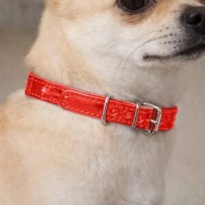 COLLAR T/VINIL ROJO HUESO