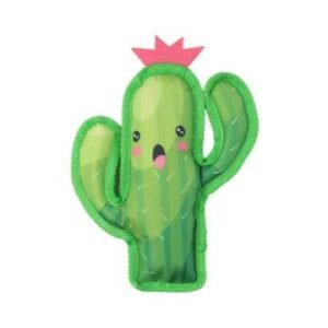 Peluche cactus