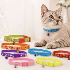 COLLAR ECONOMICO GATO