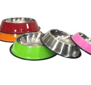 PLATO P/GATO ANTI-DERRAPANTE MORADO