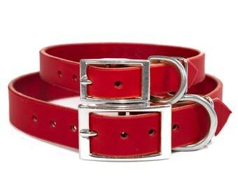 Collar rojo mediano