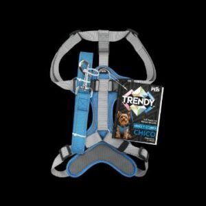 SET ARNES Y CORREA TRENDY CH AZUL