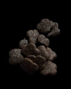 KG GOSBI EXCLUSIVE PERRO ADULTO MEDIANO GRAIN FREE