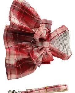 CORREA C/COLLAR MOÑO CH