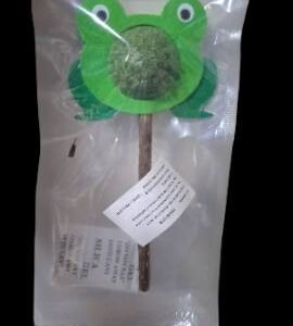 CAT NIP PALETA RANA
